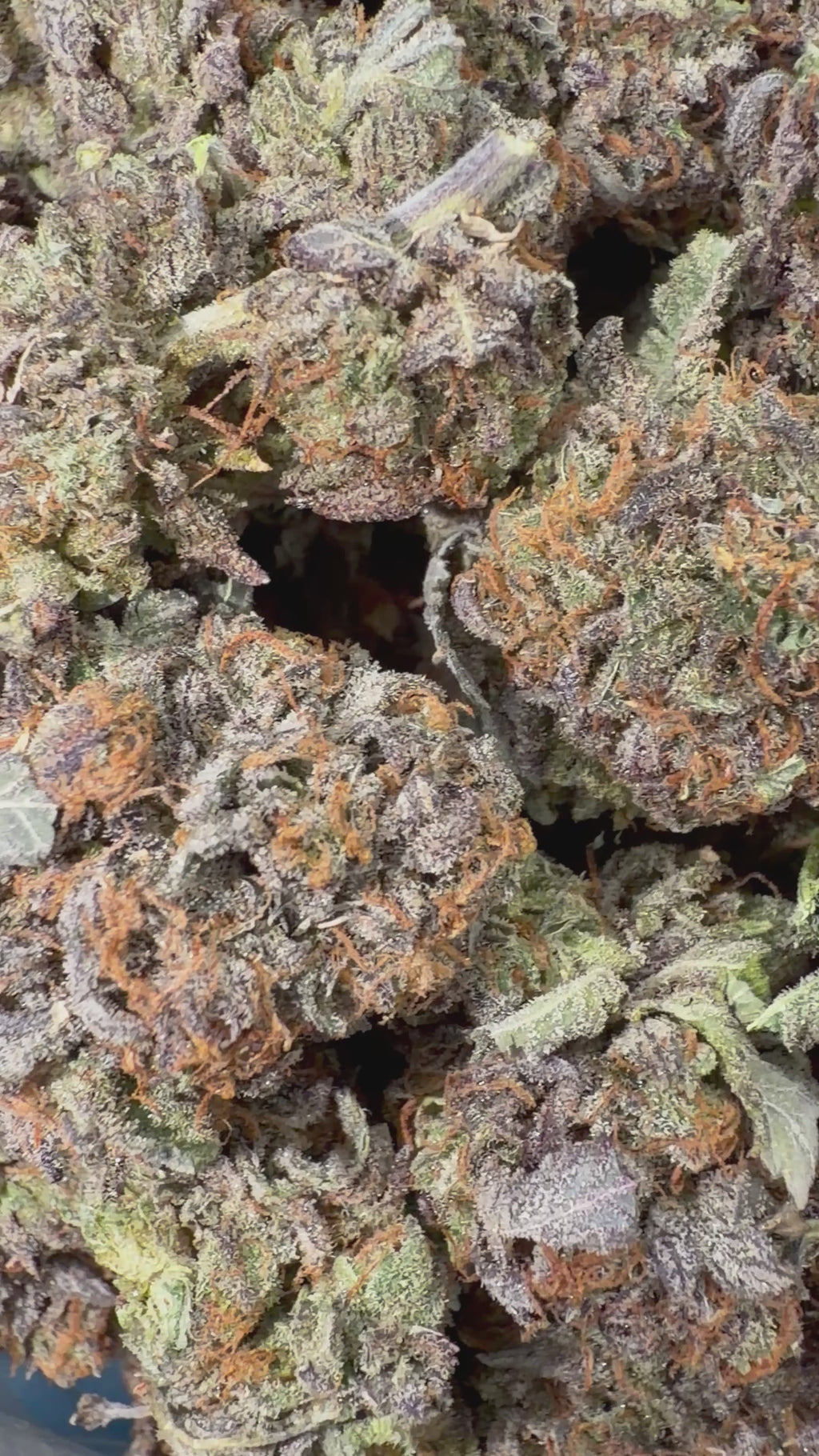 Purple Bubba - 16oz