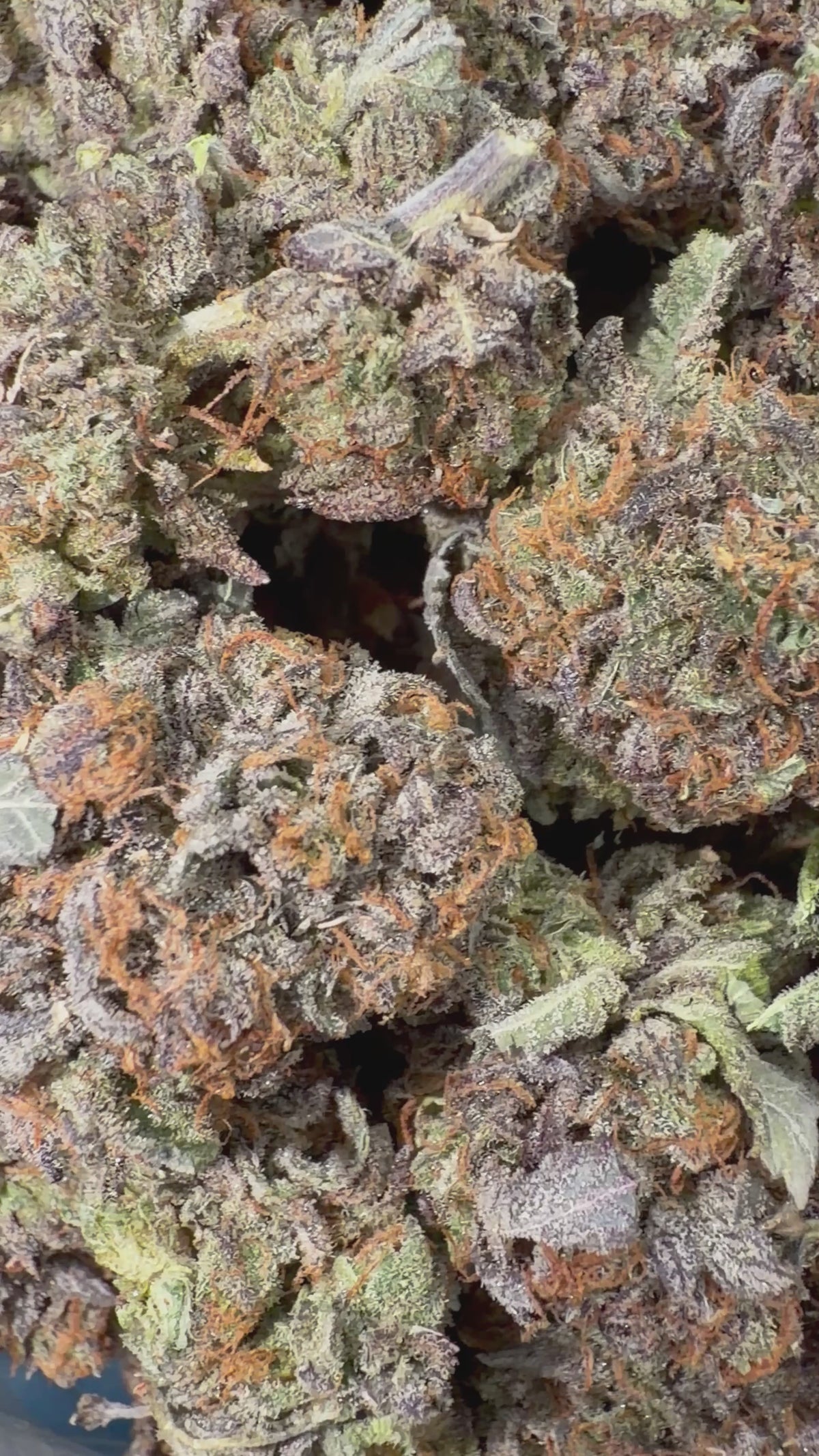 Purple Bubba - 16oz