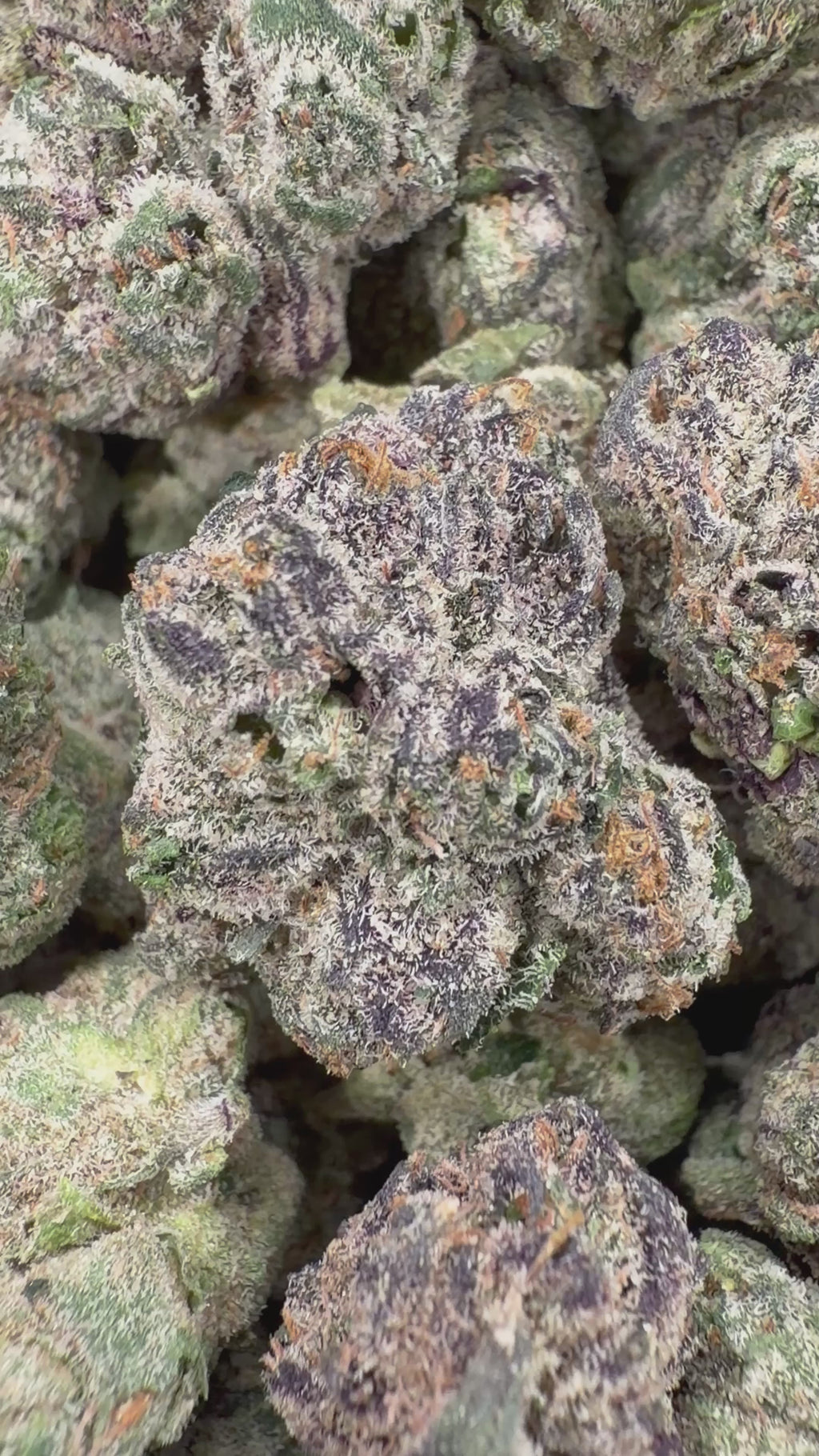 Gelato Runtz - 3.5g