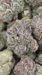 Gelato Runtz - 3.5g